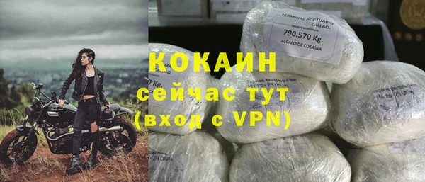 шишки Алзамай